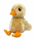 Kong Toughz Duck