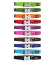 RedDingo halsband