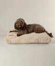Scruffs Orthopedisch hondenkussen
