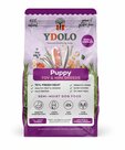 Ydolo healthy pure puppy MINI