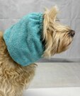 SuperFurDogs Colly