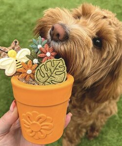 Sodapup Flower pot terra cotta