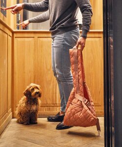 The Bob Carrier roze