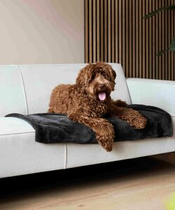 Nuzzle Blanket antraciet