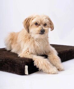 VitaMeDog matras M