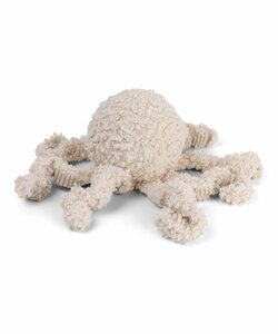 District 70 Squid