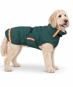 Rainy groen