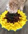 Injoya Sunflower Snuffle Mat