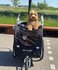 fietskar met jogger