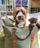 Dogs & Co autostoel army