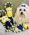 Minions