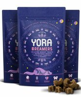 Yora Dreamers