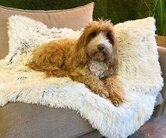AirLOFT blanket