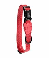 zee.dog neon coral